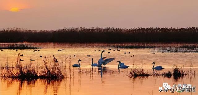 “河套水务”债务逾期列为被执行人，执行标的2242万元