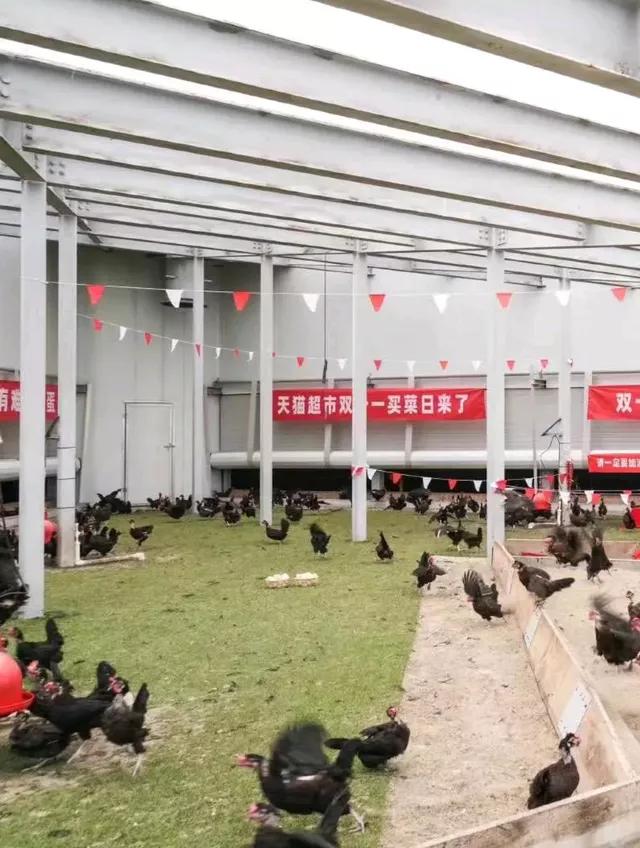 晒一晒互联网大厂们的双十一“鸡血”