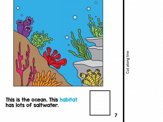 动物栖息地安静书全套