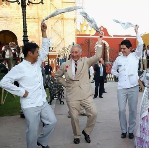 戴安娜卡米拉和查尔斯的故事（查尔斯双标）