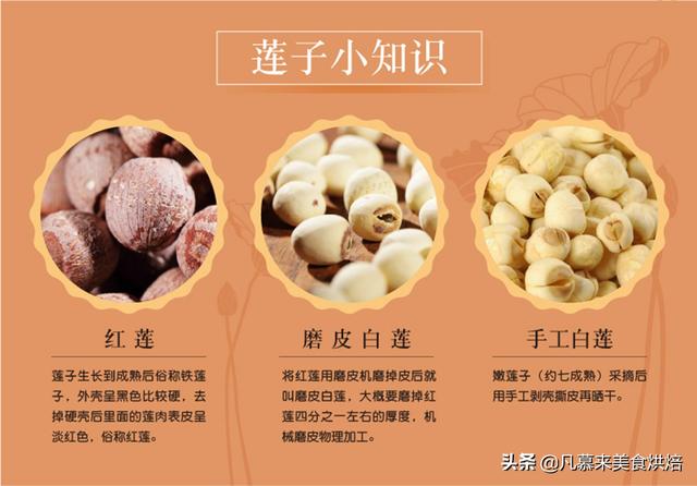 坚果类食物