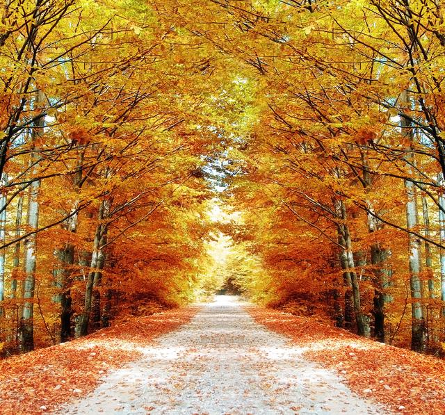 秋分夜凉，细话养生