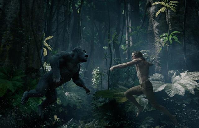 丛林冒险大片有哪些，敢不敢参与丛林勇者的大冒险，玩的就是心跳，这几部电影带你冒险