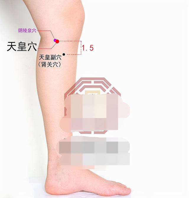 中医针灸颈部疾病处方1