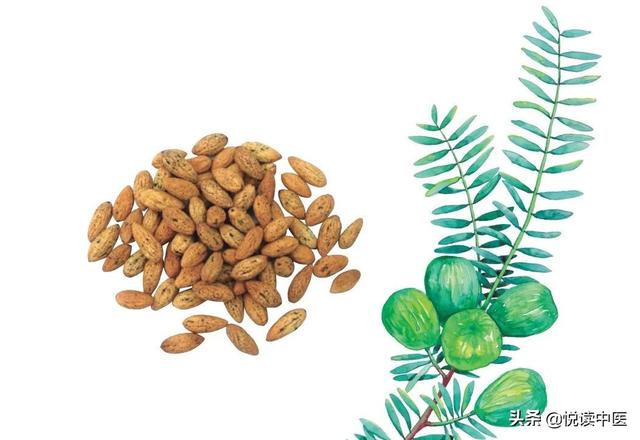 榧子的妙用