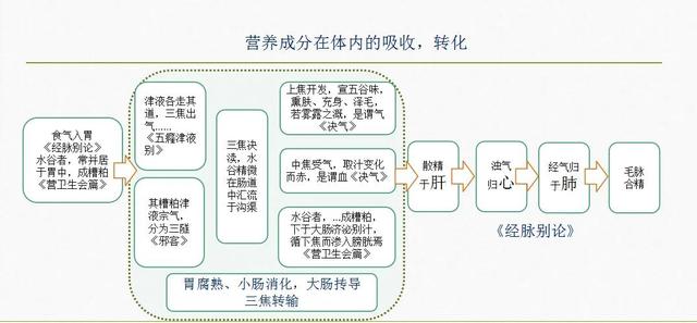 古中医，其科学与发达也许严重超乎想象