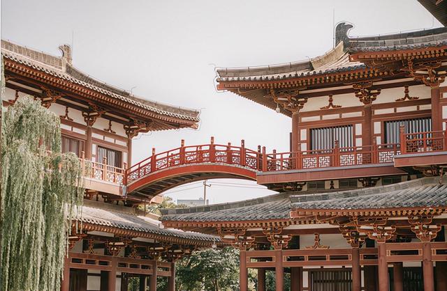 藏在西安城南的寺廟 建於隋朝盛於唐朝 卻因櫻花火上熱搜 Kks資訊網