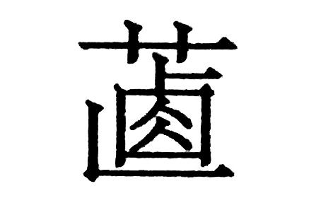 緌的读音