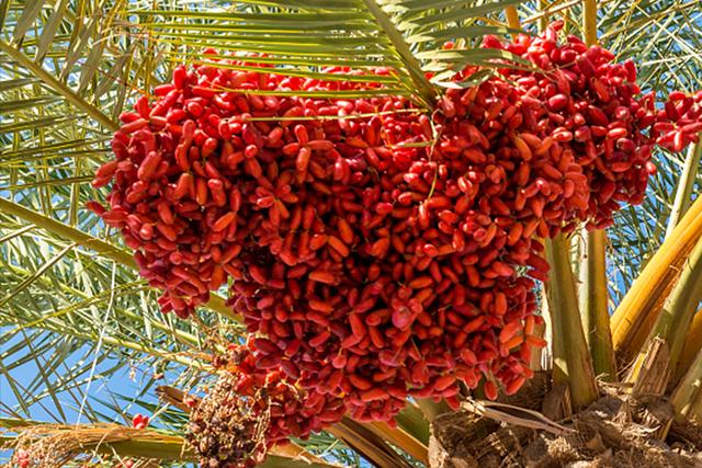 建议中老年人：冬季多吃4种健康食物，好吃不贵，对身体好