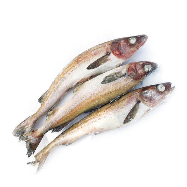 《痛风病，能吃肉，吃鱼的真实的小妙招》