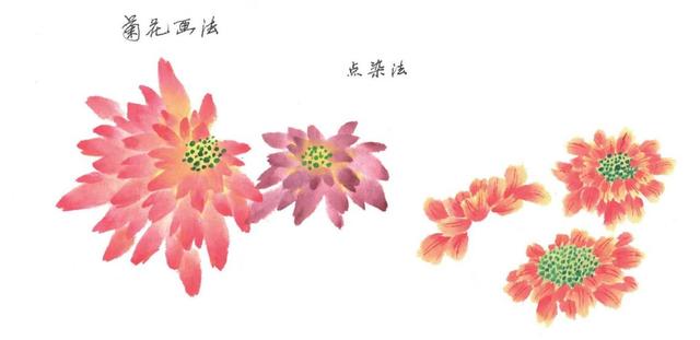 菊花怎么画漂亮又简单