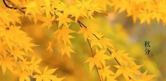 今日秋分，这份养生宝典请收好