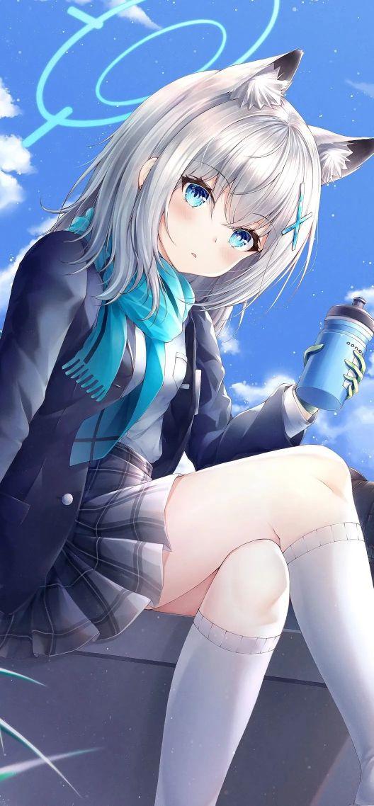 今日的宝藏壁纸