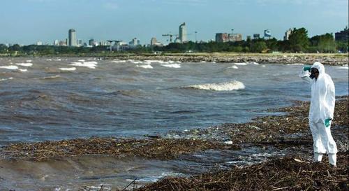 请停止食用五种食物，可能含有寄生虫，看看有你喜欢吃的吗？