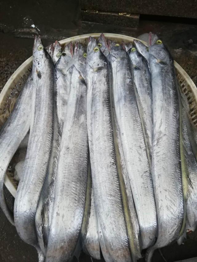 这5种鱼尽量少吃，或含脏东西，不妨来看一下