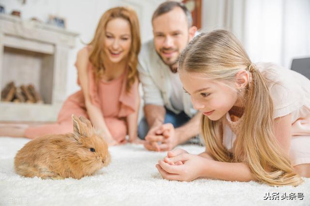 成长型养育成就更优秀的孩子