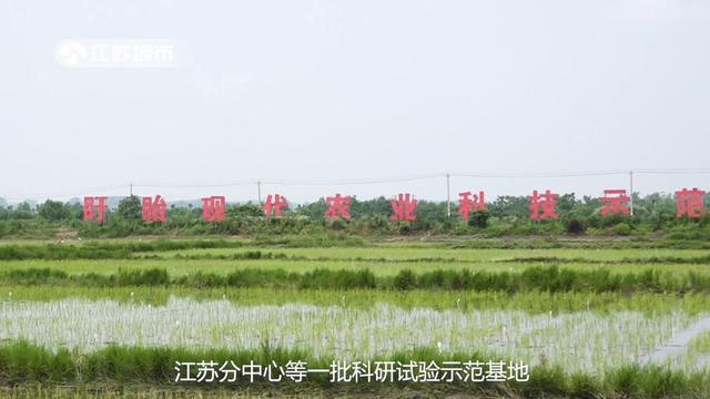 2015江苏<a href=http://shiwuwuguihua.com/listinfo-98-0.html target=_blank class=infotextkey>现代农业产业园</a>