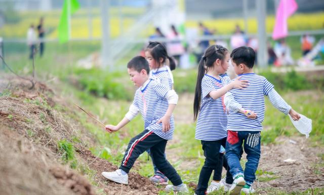 一份“幼升小”的简介火了，很多成年人自愧不如，寒门再难出贵子 幼升小 第1张