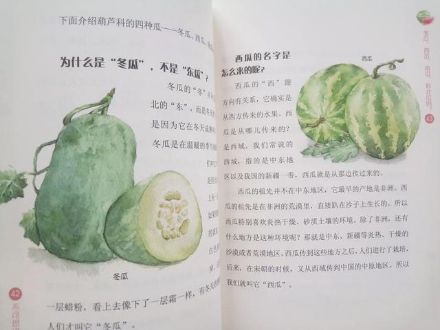 《海错图笔记》作者写给孩子的趣味博物书，在科普中领略自然之美