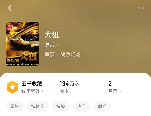 雇佣兵小说