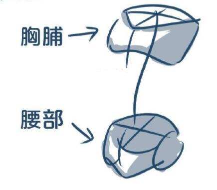 动漫人物画法教程身体