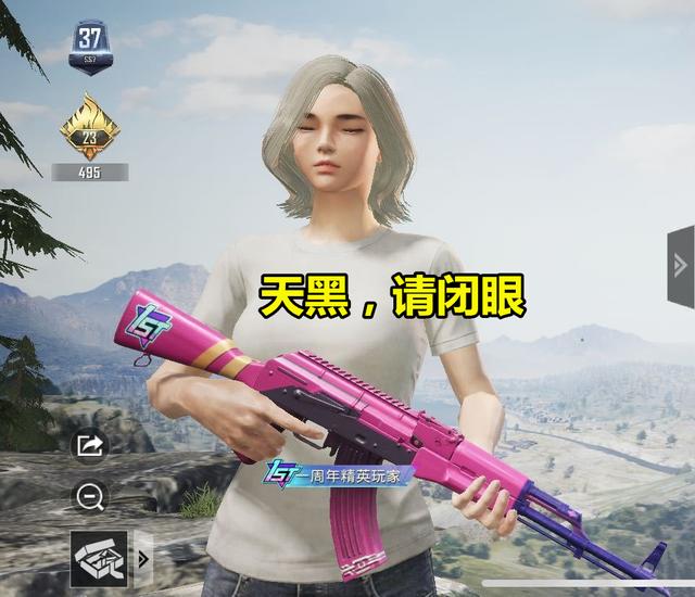 吃鸡皮肤华贵君王