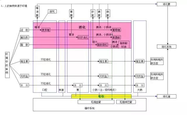 初中各科思维导图全汇总（语文、数学、地理、历史、化学、生物）