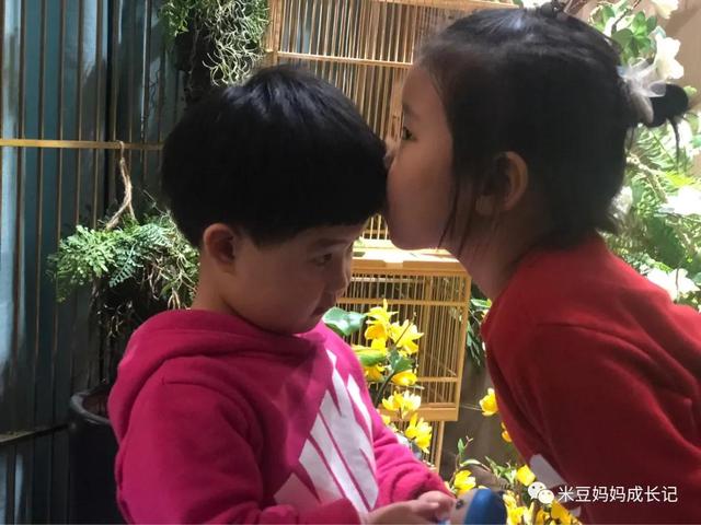 我从哪里来……