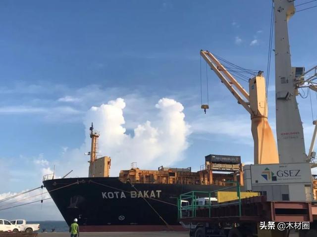 3月15日广州木工机械展