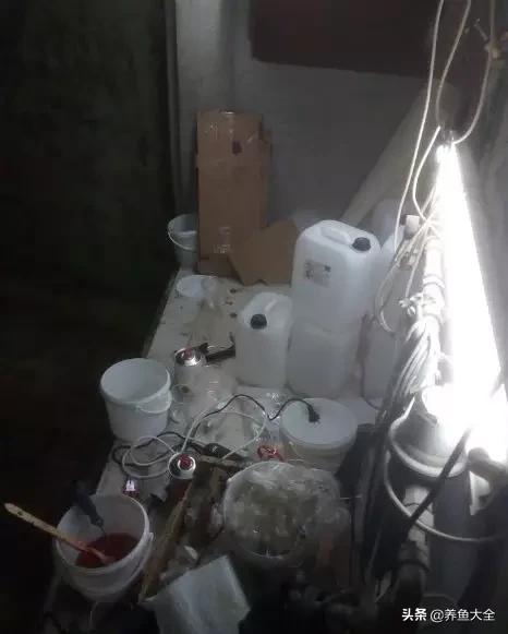 鱼缸制氧过滤机带装饰