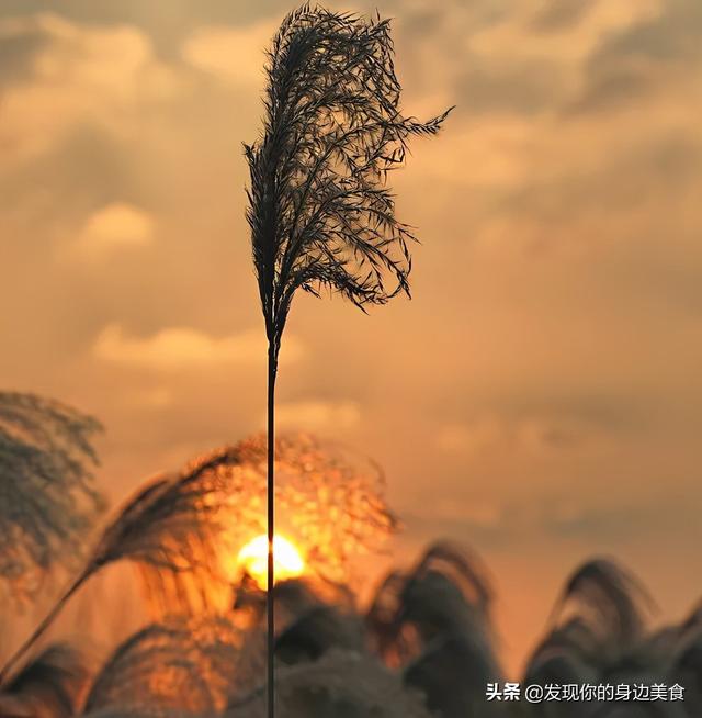 不赌天意，不猜人心，顺其自然，随遇而安