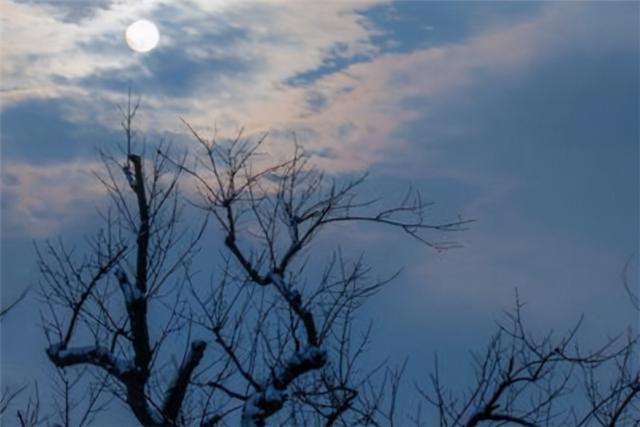 十大禁曲分别是什么歌（十大恐怖禁歌为什么被禁）