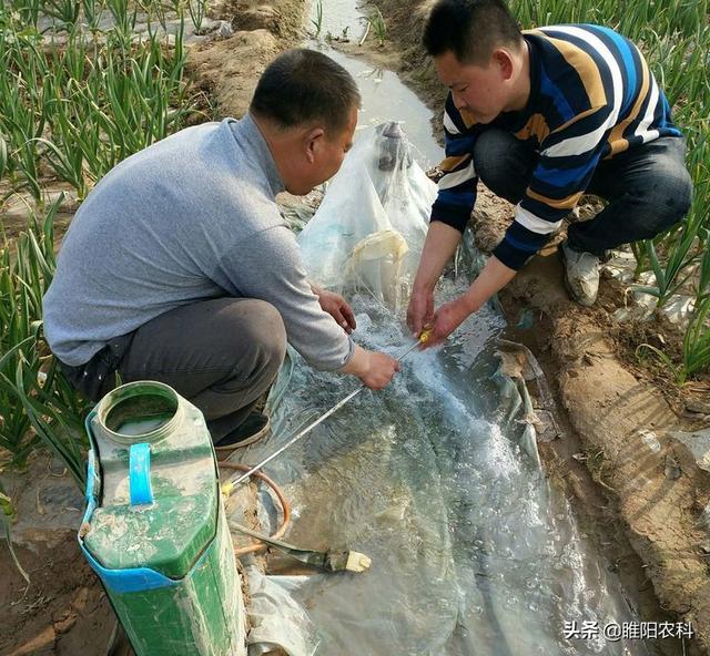 大量有机磷农药被禁用，敌敌畏为何能畅销60多年2