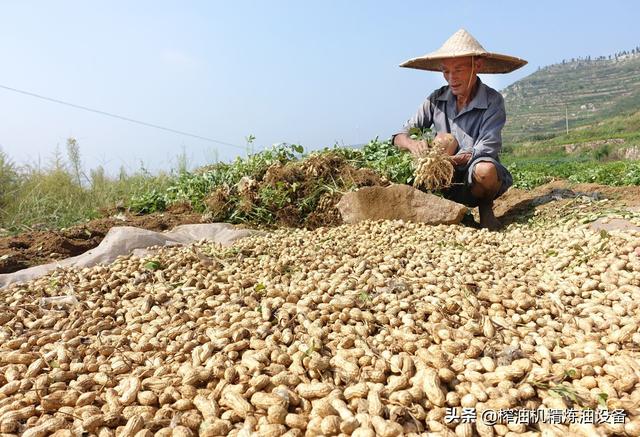 油炸精细过滤机操作视频_受欢迎的油过滤器