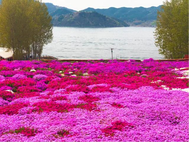 拒绝拔苗助长式育儿