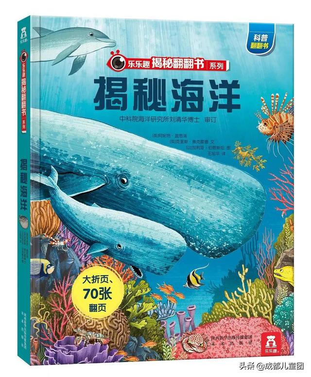 科普丨身处西南内陆城市，怎么给孩子讲海洋？