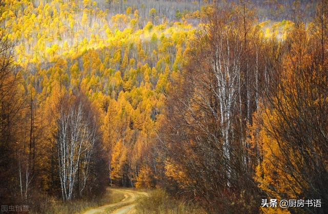 古人秋季养生之道 | 养身亦养心，看完赶紧为你的家人收藏吧