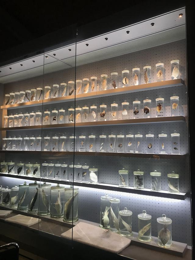 上海博物馆展陈工程决算报告