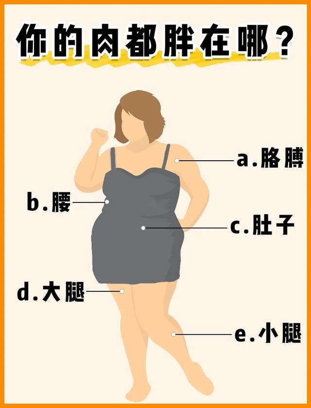如何减掉内脏脂肪 皮下脂肪 这些方法不妨来试试 全网搜