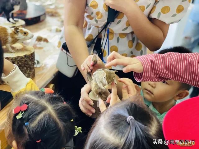 亲子打卡！科学探索，细菌好有趣啊，参观1000+件标本