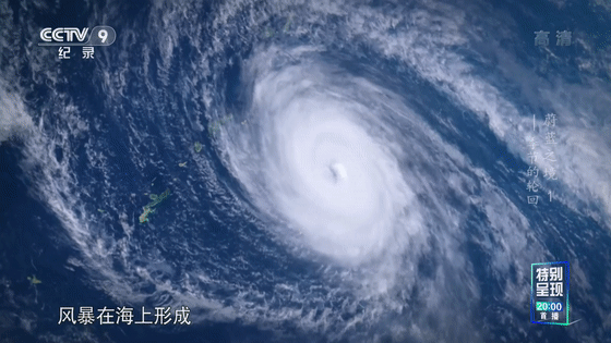 16部超赞自然纪录片，让孩子足不出户看到地球的“真实面目”！