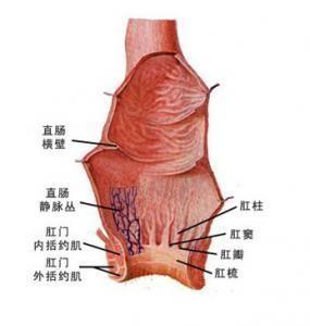 痔疮怎么办