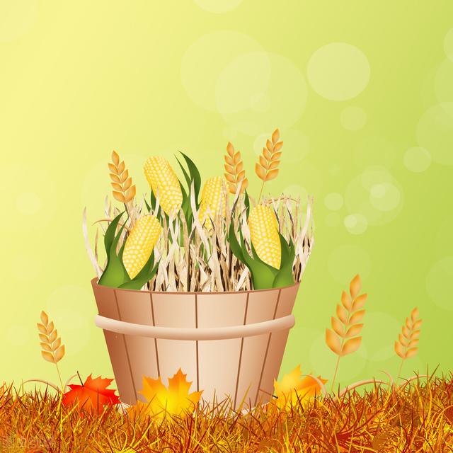 孩子想竞选中队长，担心得票低，不妨这样说