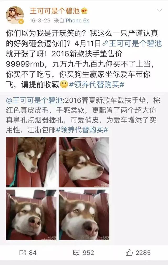 红小胖snoopy微博