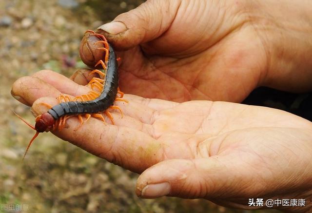 “五行相克”，在临床上怎么用？