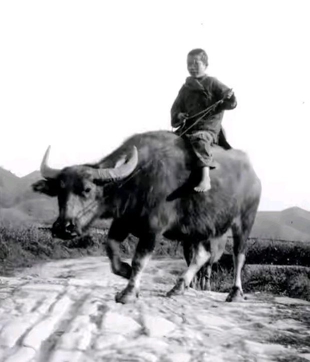 半个世纪前的中国是什么样的？就让这13张老照片告诉你