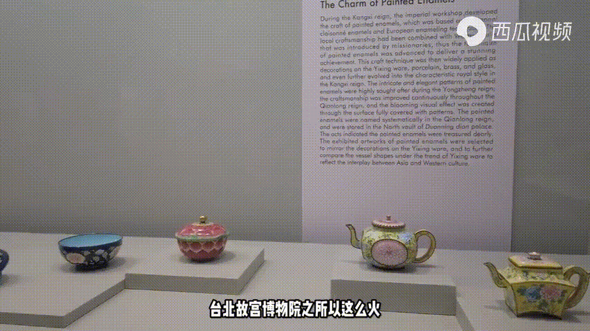 皇家宝贝官网