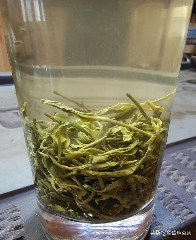 怎样喝崂山绿茶不会刺激胃？