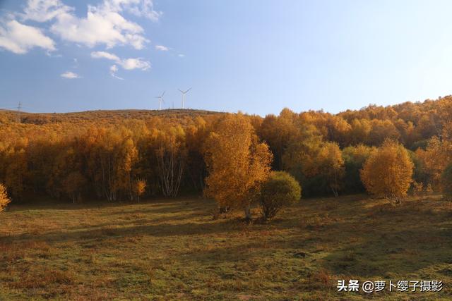 一路向北草原自駕行4：柳樹溝