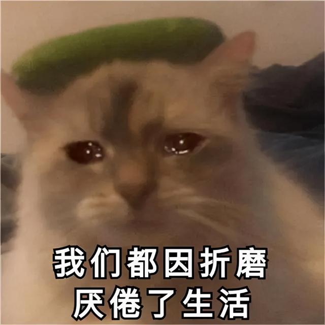 注意了！B 站知乎等平台涉嫌强制消费